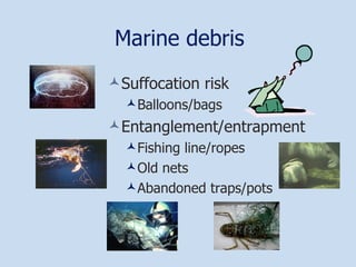 Marine debris Suffocation risk Balloons/bags Entanglement/entrapment Fishing line/ropes Old nets Abandoned traps/pots 