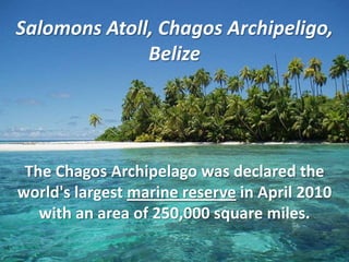 Salomons Atoll, Chagos Archipeligo,
              Belize




 The Chagos Archipelago was declared the
world's largest marine reserve in April 2010
   with an area of 250,000 square miles.
 