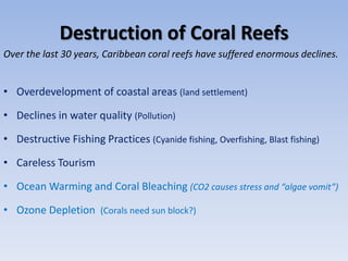 Destruction of Coral Reefs
Over the last 30 years, Caribbean coral reefs have suffered enormous declines.


• Overdevelopment of coastal areas (land settlement)

• Declines in water quality (Pollution)

• Destructive Fishing Practices (Cyanide fishing, Overfishing, Blast fishing)

• Careless Tourism

• Ocean Warming and Coral Bleaching (CO2 causes stress and “algae vomit”)

• Ozone Depletion (Corals need sun block?)
 