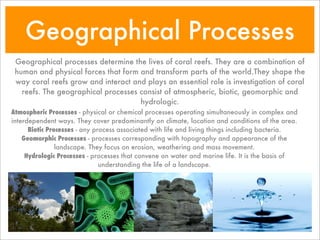 Coral Reefs | PDF
