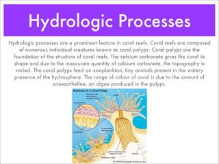 Coral Reefs | PDF