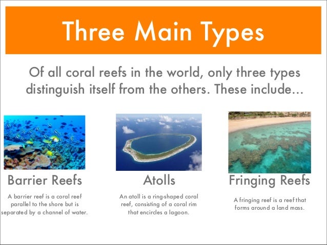 coral reefs how do reefs form