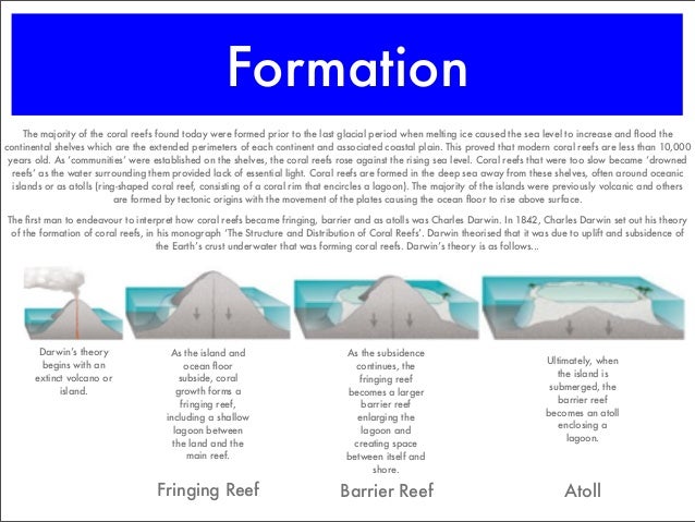 coral reefs how do reefs form