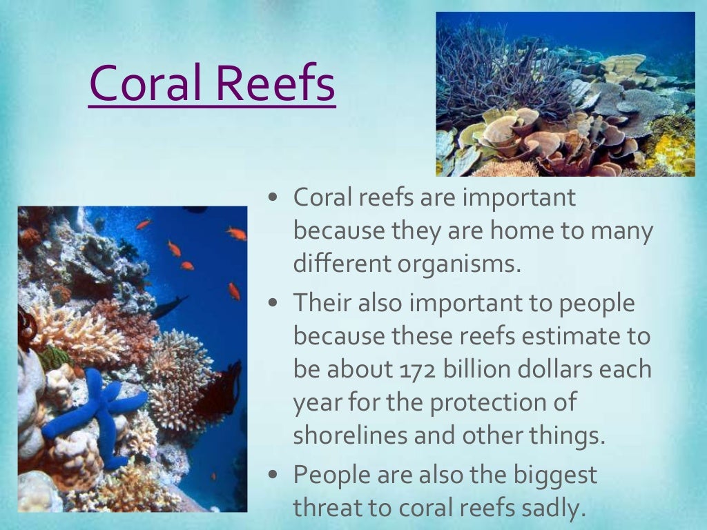 Coral Reefs