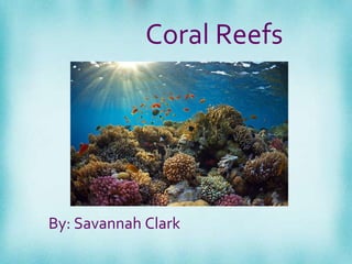 Coral Reefs
By: Savannah Clark
 