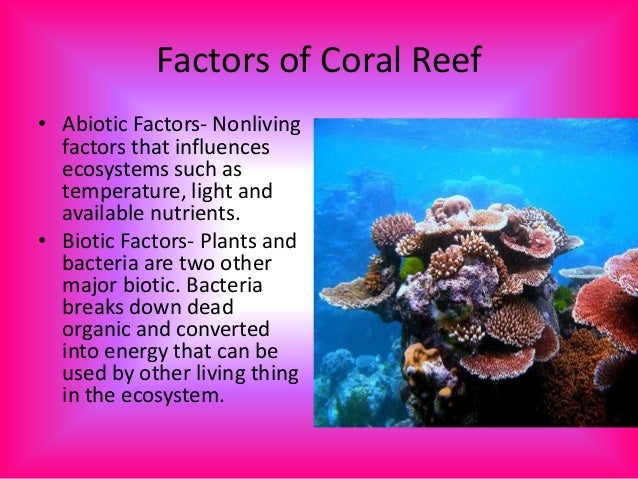 Factors That Affect Coral Reef Biome
