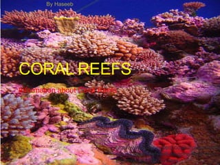 CORAL REEFS
Information about Coral Reefs
http://www.independent.co.uk/environment/
nature/coral-reefs-will-be-gone-by-end-of-
the-century-2352742.html
By Haseeb
 