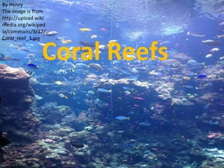 Coral Reefs
By Henry
The image is from
http://upload.wiki
media.org/wikiped
ia/commons/1/17/
Coral_reef_3.jpg
 