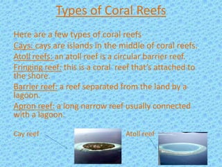 Coral reefs | PPTX