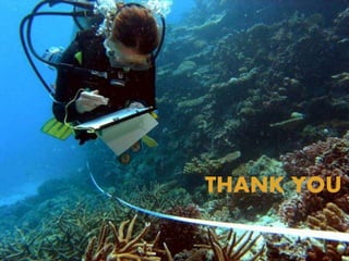 www.reefcheckaustrali
THANK YOU
 