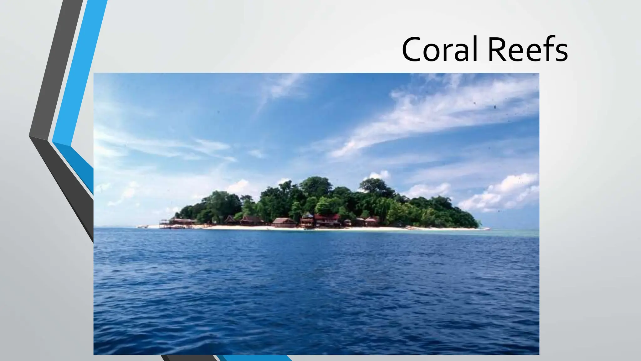 Coral Reefs lesson for csec geography in the caribbean | PPTX