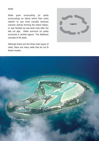 6
Atolls
Atolls grow surrounding (or partly
surrounding) an island which then sinks
relative to sea level (usually because
volcanic activity forming the island stops),
or was flooded as sea level rose after the
last ice age. Atolls surround (or partly
surround) a central lagoon. The Maldives
consists of 26 atolls.
Although these are the three main types of
reefs, there are many reefs that do not fit
these models.
Lagoon
 
