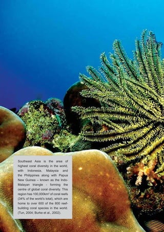 10
Southeast Asia is the area of
highest coral diversity in the world,
with Indonesia, Malaysia and
the Philippines along with Papua
New Guinea – known as the Indo-
Malayan triangle - forming the
centre of global coral diversity. This
region has 100,000km2
of coral reefs
(34% of the world’s total), which are
home to over 600 of the 800 reef-
building coral species in the world.
(Tun, 2004; Burke et al., 2002).
 
