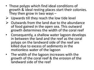 • Those polyps which find ideal conditions of
growth & ideal resting places start their colonies.
They then grow in two ways –
➢ Upwards till they reach the low tide level
➢ Outwards from the land due to the abundance
of food gained in the open sea. This outward
growth determines the width of the coral reef
• Consequently, a shallow water lagoon develops
in between the land and the reef as the coral
polyps on the landward side of the reef are
killed due to excess of sediments in the
motionless water of the lagoon
• The width of the lagoon increases with the
growth of the coral reef & the erosion of the
landward side of the reef
 