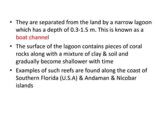 • They are separated from the land by a narrow lagoon
which has a depth of 0.3-1.5 m. This is known as a
boat channel
• The surface of the lagoon contains pieces of coral
rocks along with a mixture of clay & soil and
gradually become shallower with time
• Examples of such reefs are found along the coast of
Southern Florida (U.S.A) & Andaman & Nicobar
islands
 