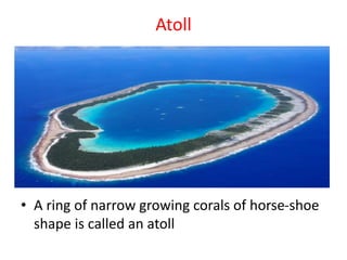 Atoll
• A ring of narrow growing corals of horse-shoe
shape is called an atoll
 