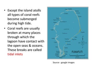 • Except the island atolls
all types of coral reefs
become submerged
during high tide.
• Coral reefs are usually
broken at many places
through which the
lagoon have contact with
the open seas & oceans.
These breaks are called
tidal inlets
Source : google images
 