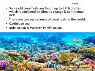 • Some old coral reefs are found up to 370 latitudes
which is explained by climatic change & continental
drift
There are two major areas of coral reefs in the world:
• Caribbean sea
• India ocean & Western Pacific ocean
Contd ……
Source : google images
 