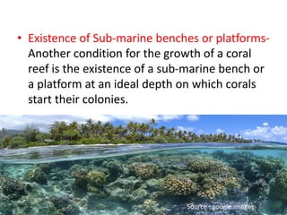 • Existence of Sub-marine benches or platforms-
Another condition for the growth of a coral
reef is the existence of a sub-marine bench or
a platform at an ideal depth on which corals
start their colonies.
Source : google images
 