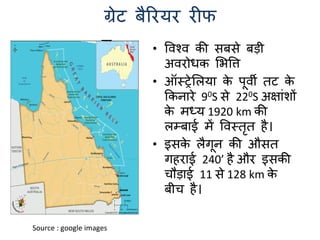 Coral reefs i (hindi)-converted | PDF