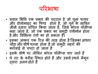 Coral reefs i (hindi)-converted | PDF