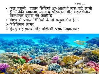 Coral reefs i (hindi)-converted | PDF