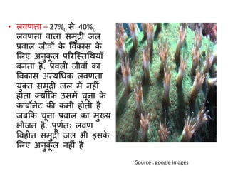Coral reefs i (hindi)-converted | PDF