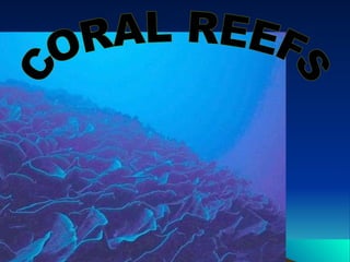 CORAL REEFS 