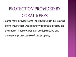  Coral reefs provide COASTAL PROTECTION by slowing
down waves that would otherwise break directly on
the shore. These waves can be destructive and
damage unprotected sea-front property.
 