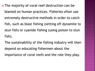  The majority of coral reef destruction can be
blamed on human practices. Fisheries often use
extremely destructive methods in order to catch
fish, such as blast fishing (setting off dynamite to
stun fish) or cyanide fishing (using poison to stun
fish).
The sustainability of the fishing industry will then
depend on educating fishermen about the
importance of coral reefs and the role they play.
 