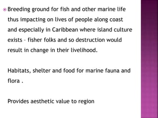  Breeding ground for fish and other marine life
thus impacting on lives of people along coast
and especially in Caribbean where island culture
exists – fisher folks and so destruction would
result in change in their livelihood.
Habitats, shelter and food for marine fauna and
flora .
Provides aesthetic value to region
 