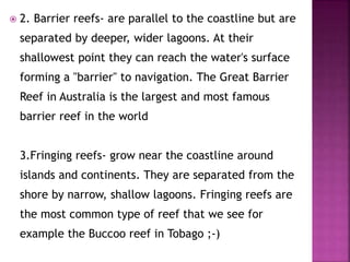  2. Barrier reefs- are parallel to the coastline but are
separated by deeper, wider lagoons. At their
shallowest point they can reach the water's surface
forming a "barrier" to navigation. The Great Barrier
Reef in Australia is the largest and most famous
barrier reef in the world
3.Fringing reefs- grow near the coastline around
islands and continents. They are separated from the
shore by narrow, shallow lagoons. Fringing reefs are
the most common type of reef that we see for
example the Buccoo reef in Tobago ;-)
 