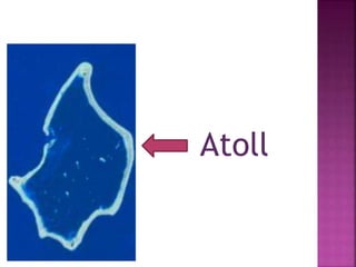 Atoll
 
