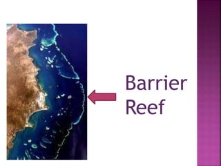 Barrier
Reef
 