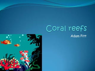 Coral reefs Adam Pitt 