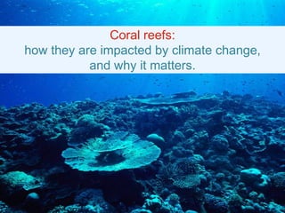 Coral reefs:
how they are impacted by climate change,
and why it matters.

 