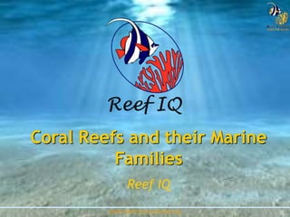 www.reefcheckaustralia.org
Coral Reefs and their Marine
Families
Reef IQ
 