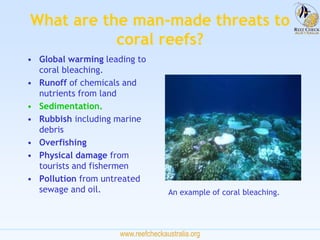 www.reefcheckaustralia.org
What are the man-made threats to
coral reefs?
• Global warming leading to
coral bleaching.
• Ru...