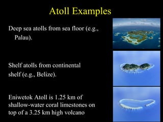 Coral Reefs Sea Change | PPT