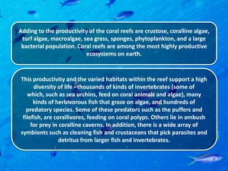 Adding to the productivity of the coral reefs are crustose, coralline algae,
 turf algae, macroalgae, sea grass, sponges, phytoplankton, and a large
 bacterial population. Coral reefs are among the most highly productive
                          ecosystems on earth.



This productivity and the varied habitats within the reef support a high
      diversity of life –thousands of kinds of invertebrates (some of
   which, such as sea urchins, feed on coral animals and algae), many
      kinds of herbivorous fish that graze on algae, and hundreds of
   predatory species. Some of these predators such as the puffers and
 filefish, are corallivores, feeding on coral polyps. Others lie in ambush
     for prey in coralline caverns. In addition, there is a wide array of
symbionts such as cleaning fish and crustaceans that pick parasites and
                 detritus from larger fish and invertebrates.
 