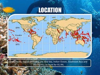 LOCATION




Indo-Pacific region (including the Red Sea, Indian Ocean, Southeast Asia and
                        the Pacific) account for 91.9%.
 