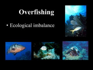 Overfishing
• Ecological imbalance
 