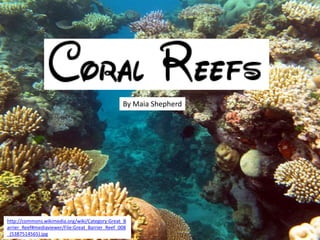 http://commons.wikimedia.org/wiki/Category:Great_B
arrier_Reef#mediaviewer/File:Great_Barrier_Reef_008
_(5387514565).jpg
By Maia Shepherd
 