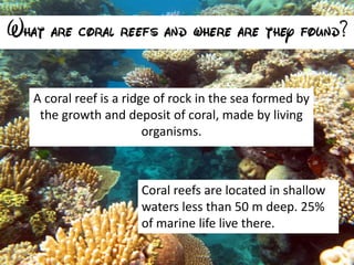 Reef Ridges Coral reefs by Maia Shepherd | PPT