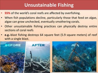 Coral reef Threats, conservation and Restoration.pptx