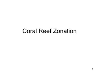 Coral Reef Zonation 