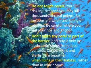 Corals | PPTX