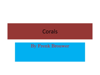 Corals
By Frenk Brouwer
 