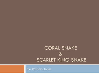 CORAL SNAKE &  SCARLET KING SNAKE By: Patricia Jones 