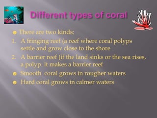 ☻ There are two kinds:
1. A fringing reef (a reef where coral polyps
   settle and grow close to the shore
2. A barrier reef (if the land sinks or the sea rises,
   a polyp it makes a barrier reef
☻ Smooth coral grows in rougher waters
☻ Hard coral grows in calmer waters
 